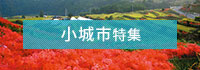 小城市特集